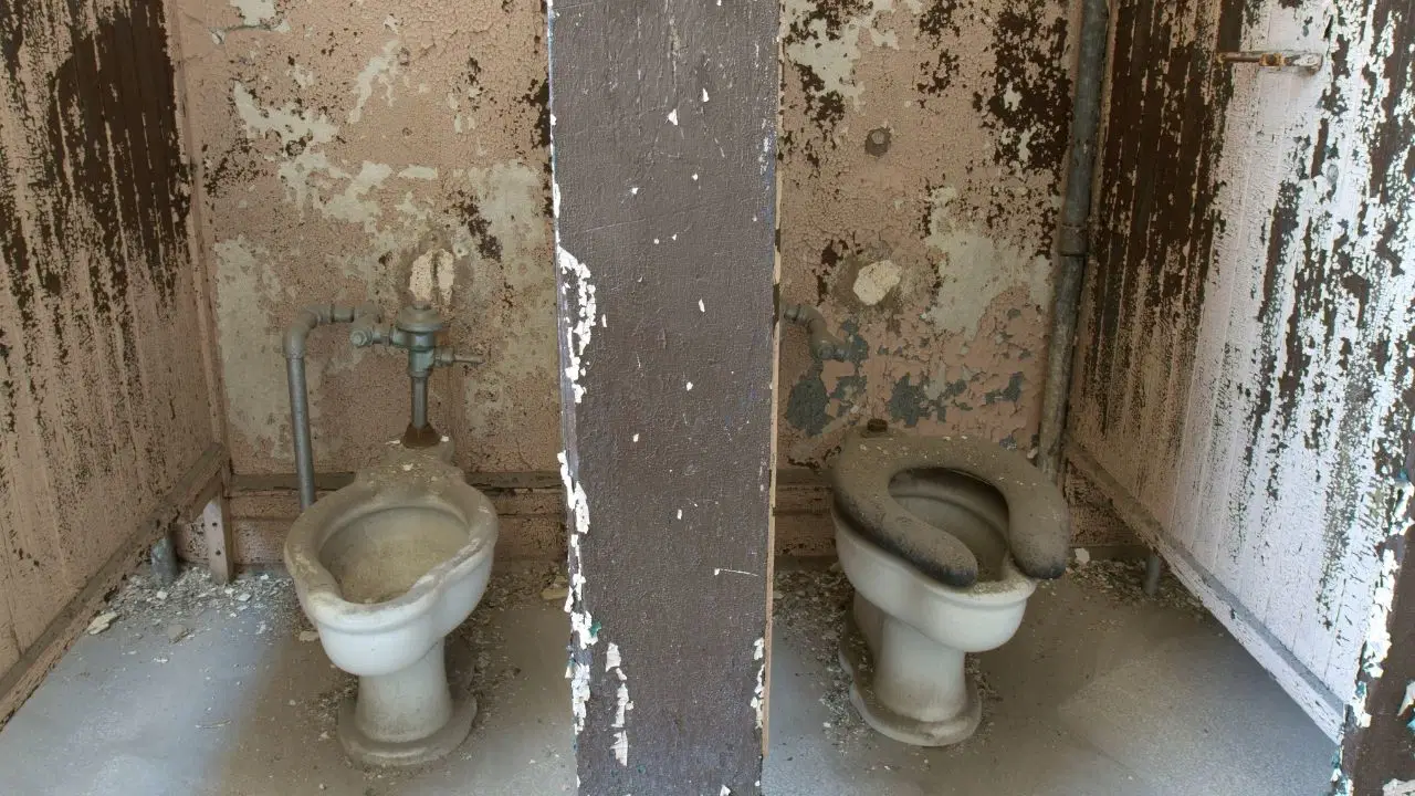 Klozetten hastalık kapılır mı?