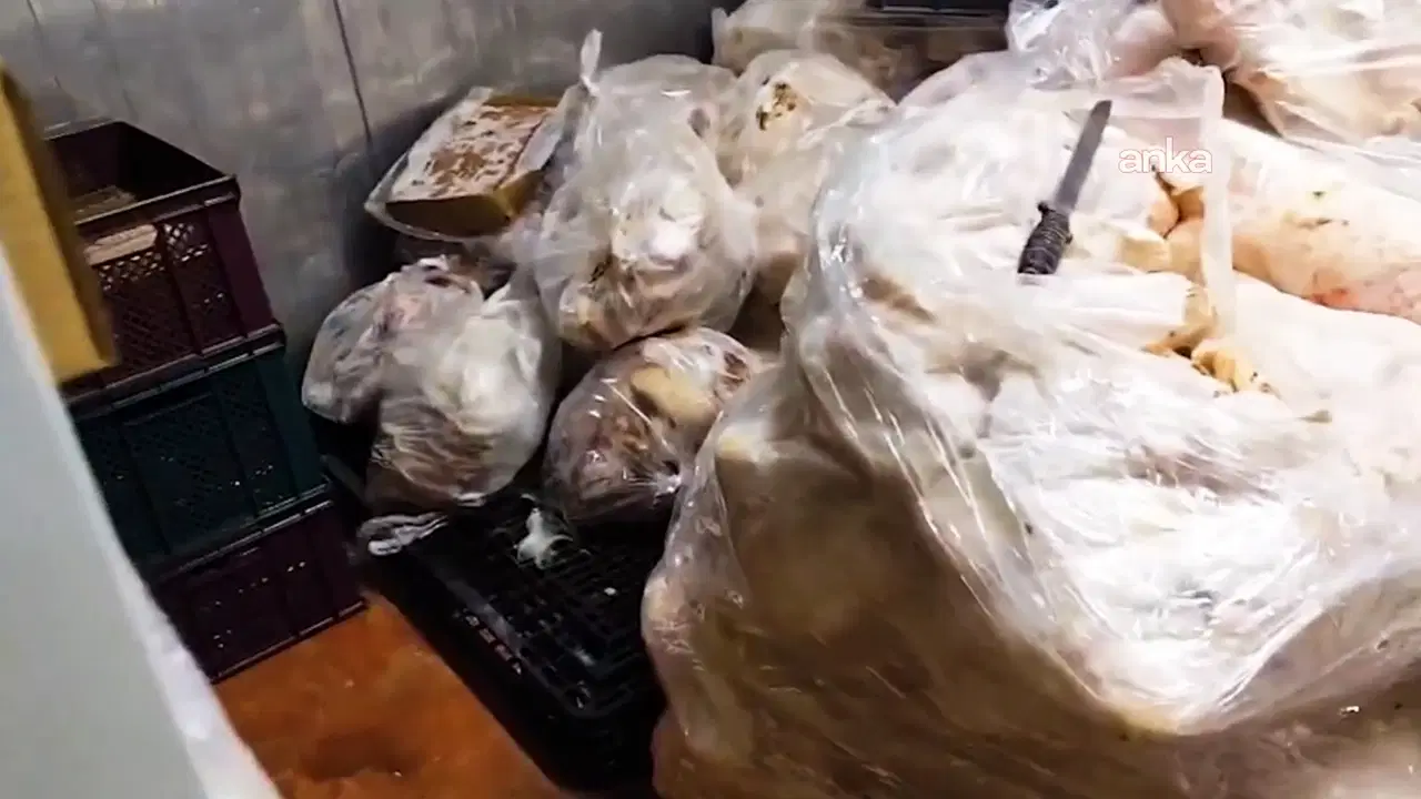 Ankara’da mide bulandıran sağlık skandalı: Bakanlık, bin 316 kilogramını imha etti!