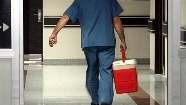 e-Devlet ve e-Nabız üzerinden organ bağışı yapılabilecek