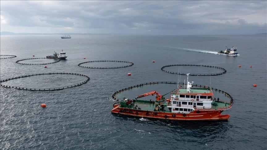 Karadeniz su ürünleri ihracatından 9 ayda 278,7 milyon dolarlık kazanç