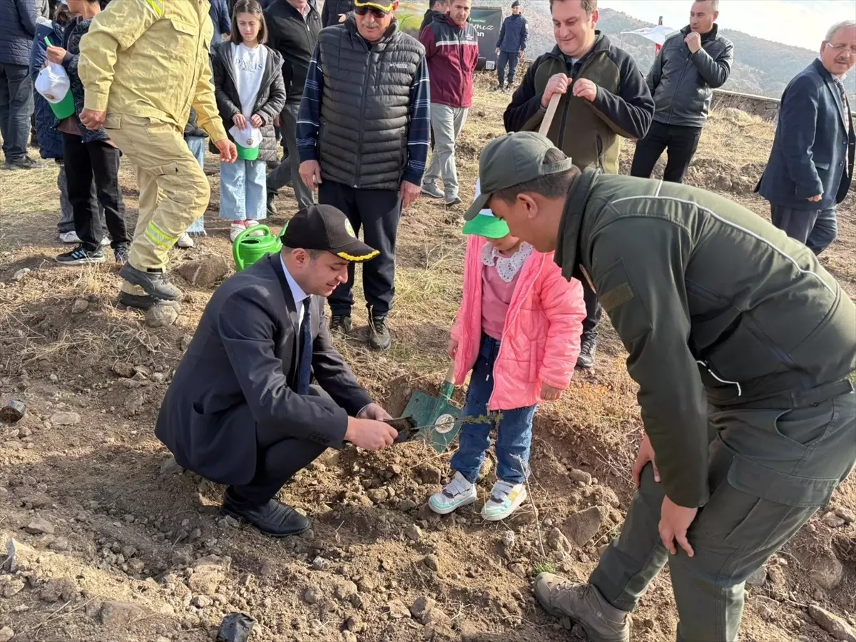 Korgun’da Ağaçlandırma Etkinliği