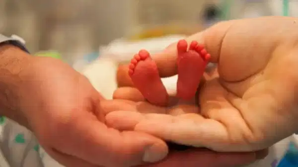 Prematüre bebekler konusunda ‘sıfır ayrılık’ çağrısı