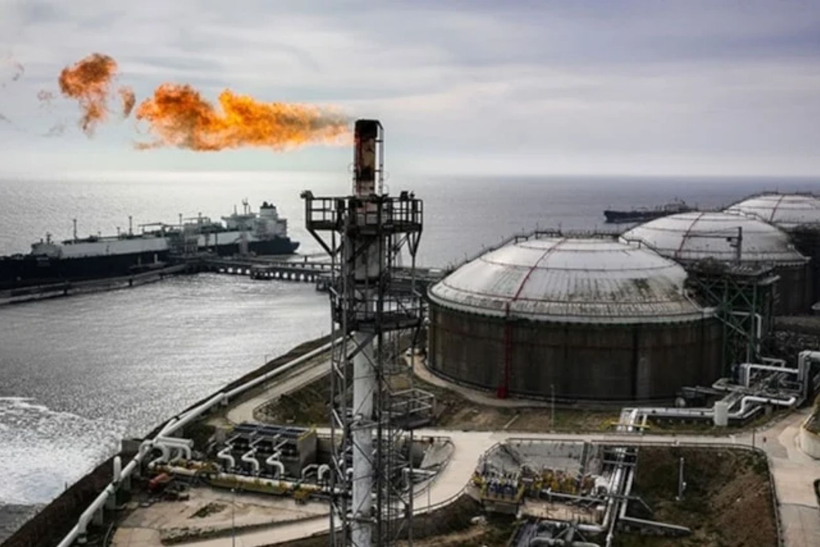 Türkiye’ye borçlu ülke Bulgaristan’da benzin krizi kapıda