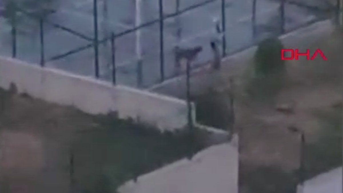 Ankara’da dehşet saçan pitbullun tasmasız gezdirildiği ortaya çıktı