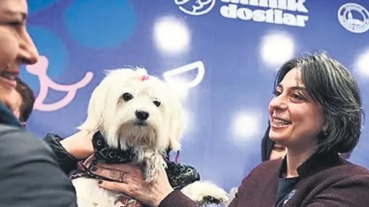 CHP’li Sinem Dedetaş’ın belediye imkanlarıyla köpeğine yaptığı masraf tepki çekti