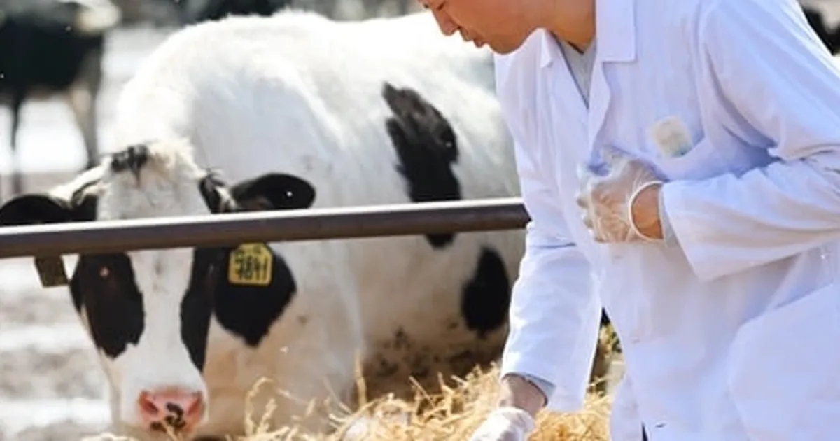 Tarımsal girdiler yüzde 33,66 arttı… Veteriner harcamaları yine zirvede!