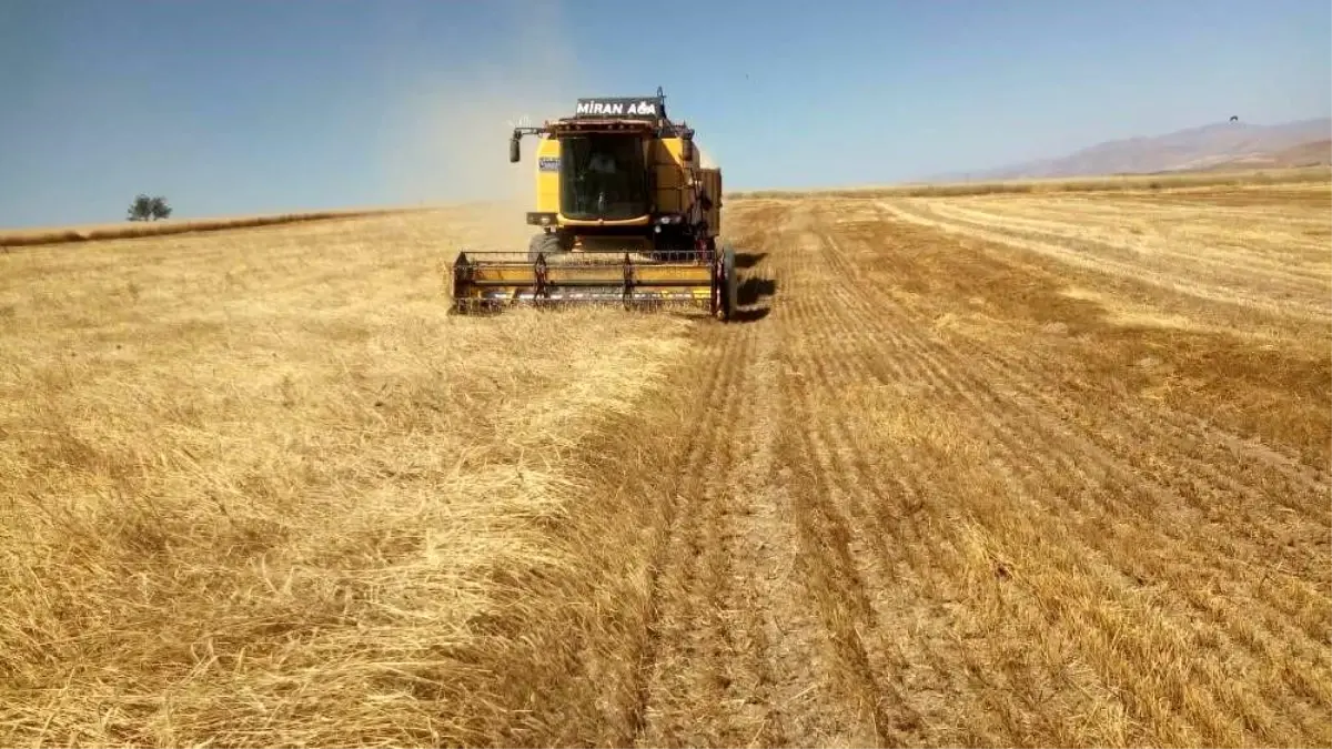 TMO’dan Bayburt’ta Yemlik Arpa Satışı