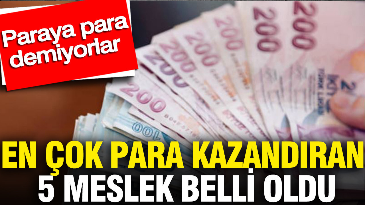 en-cok-para-kazandiran-5-meslek-belli-oldu-paraya-para-demiyorlar-YHuwvpsO